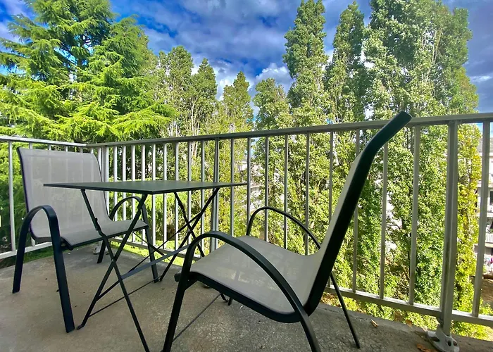 Scandinave Balcon Et Ascenseur *